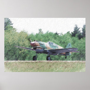 Flying Tiger - P-40 Drawing ポスター