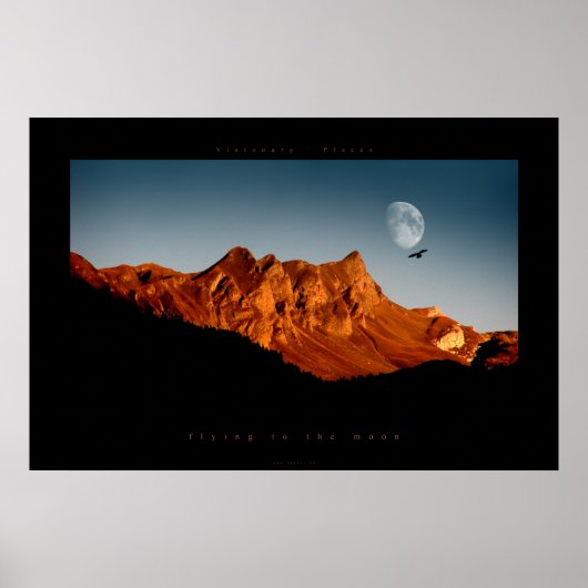 flying to the moon ポスター (正面)