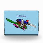 Flying tortoise  フォトブロック (正面)