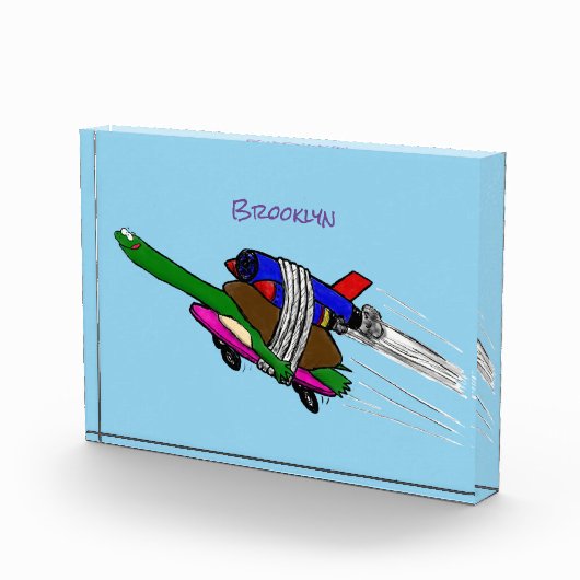 Flying tortoise  フォトブロック (右)