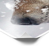 Focus フォトプリント (角)