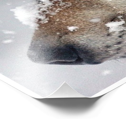 Focus フォトプリント (角)