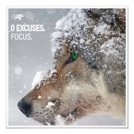 Focus フォトプリント (正面)