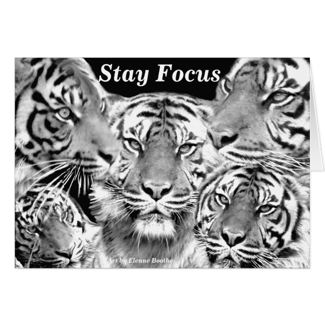 Focus_card製品 (正面横)