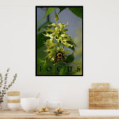 Focus Inspirational Message Poster Art Photo Print ポスター (キッチン)