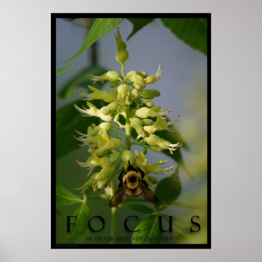 Focus Inspirational Message Poster Art Photo Print ポスター (正面)