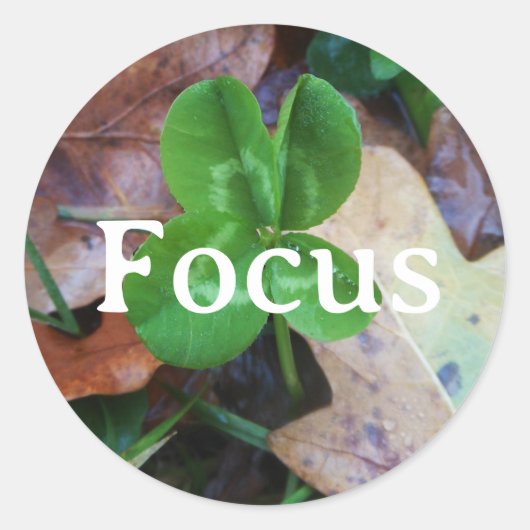 Focus Porte-bonheur ラウンドシール (正面)