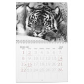 Focus & Strength_2010カレンダー – by Elenne Boothe カレンダー (2月 2026)