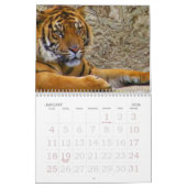 Focus & Strength_2010カレンダー – by Elenne Boothe カレンダー (1月 2026)