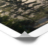 Fog and Conifers in the Morning ポスター (角)