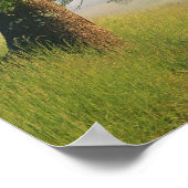 Fog covered road, Cades Cove, Great Smoky ポスター (角)