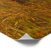 Fog in pine forestforest,beautiful,black,dark,dawn ポスター (角)