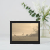 Foggy Elk Family ポストカード (スタンド正面)