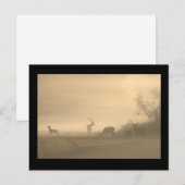 Foggy Elk Family ポストカード (正面/裏面)