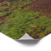 Foggy morning, (Semi-Gloss) ポスター (角)