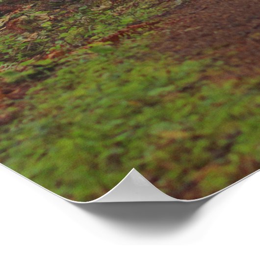 Foggy morning, (Semi-Gloss) ポスター (角)