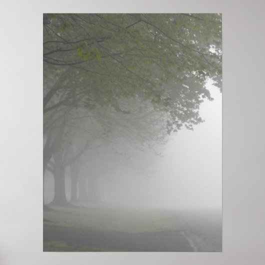 Foggy Mornings 5 ポスター (正面)