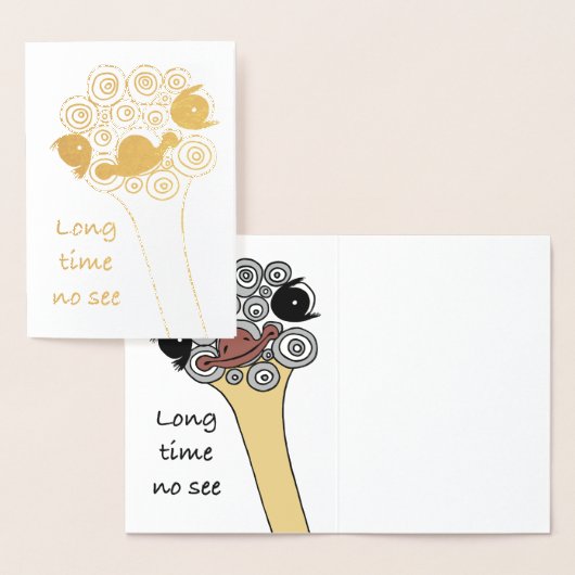 Foil Card 箔カード (ディスプレー)