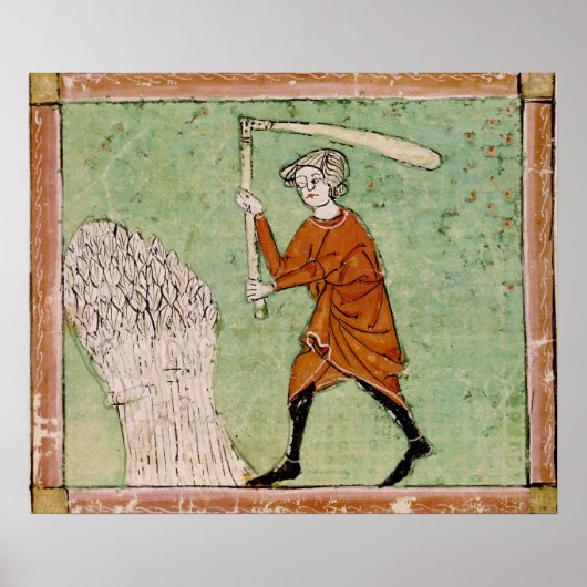 Fol.59r:威厳がある脱穀する小麦 ポスター (正面)