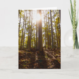 Folded Announcement Card, dwellingup 案内状