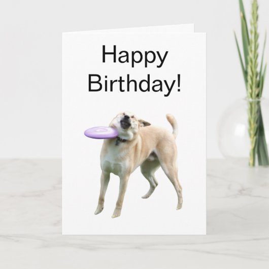 Folded Card Frisbee Dog Meme カード (正面)