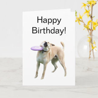 Folded Card Frisbee Dog Meme カード