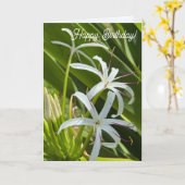 Folded Greeting Card カード (黄色い花)