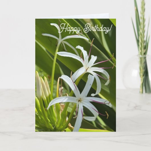 Folded Greeting Card カード (正面)
