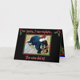 Folded Greeting Card カード