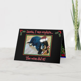 Folded Greeting Card カード