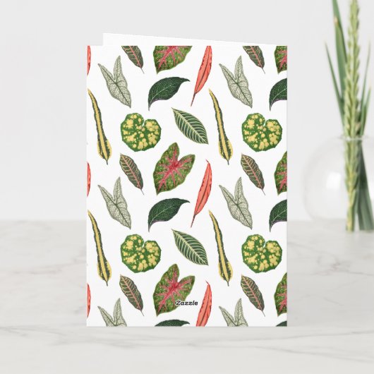 Folded Greeting Card カード (裏面)