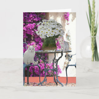 Folded Greeting Card カード