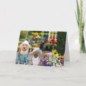 Folded Greeting Card カード (正面)