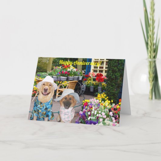 Folded Greeting Card カード (正面)