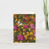 Folded greeting card with photo of flowers カード (正面)