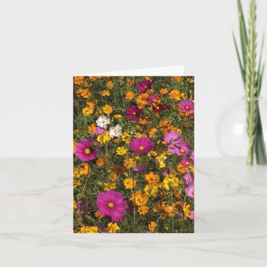 Folded greeting card with photo of flowers カード (正面)