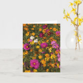 Folded greeting card with photo of flowers カード (黄色い花)