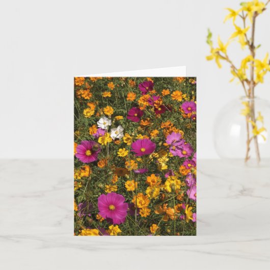Folded greeting card with photo of flowers カード (黄色い花)