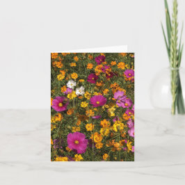 Folded greeting card with photo of flowers カード