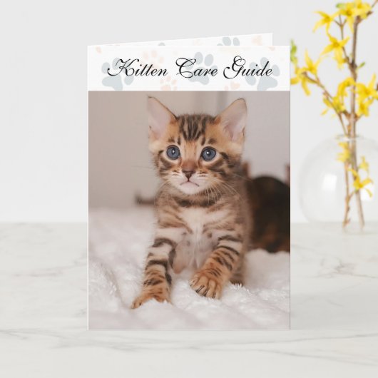 Folded Kitten Care Guide For Catteries カード (黄色い花)