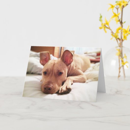 Folded Leon Greeting Card カード (黄色い花)