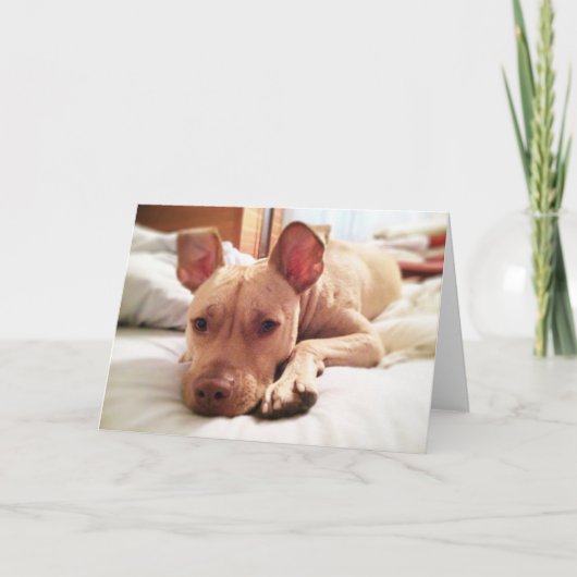 Folded Leon Greeting Card カード (正面)