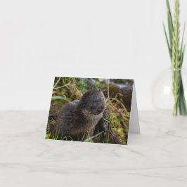 Folded Thank You Card サンキューカード