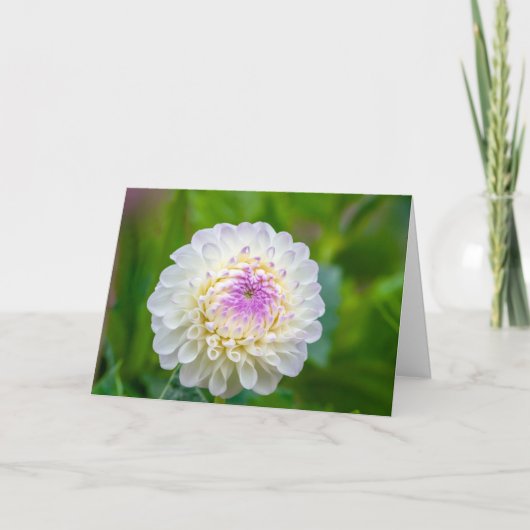 Folded Thank You Card サンキューカード (正面)