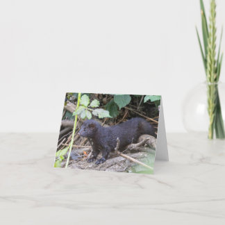 Folded Thank You Card サンキューカード