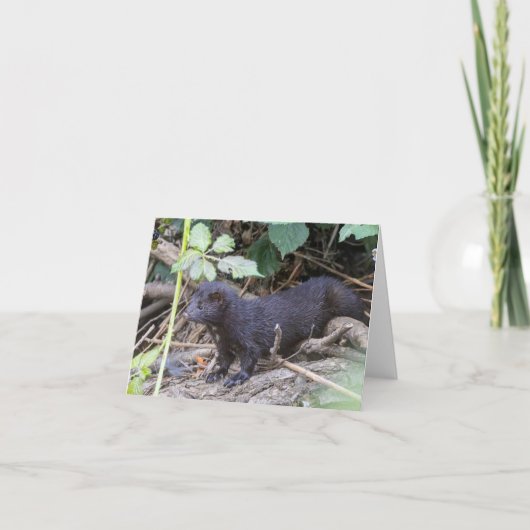 Folded Thank You Card サンキューカード (正面)