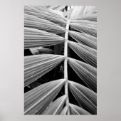 folha de palmeira ポスター (正面)