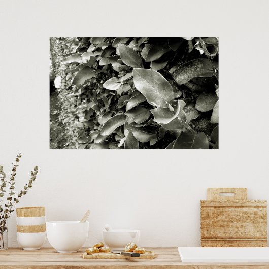 folhas ポスター (キッチン)