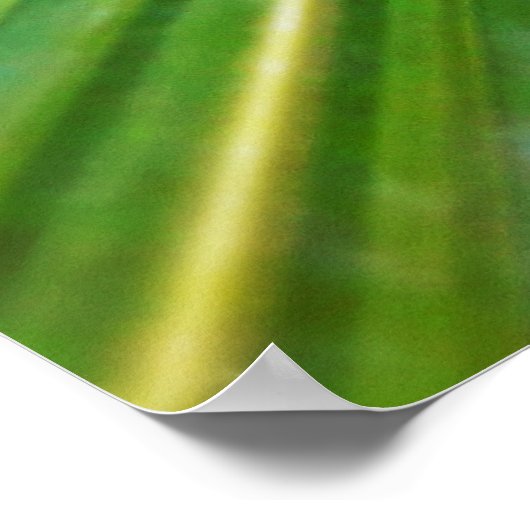 folhas de palmeira ポスター (角)