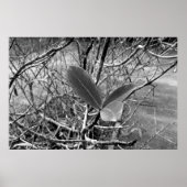 folhas em vida1 ポスター (正面)